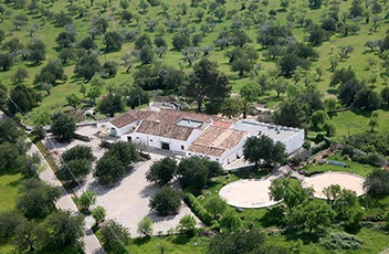 rustic_village_wedding